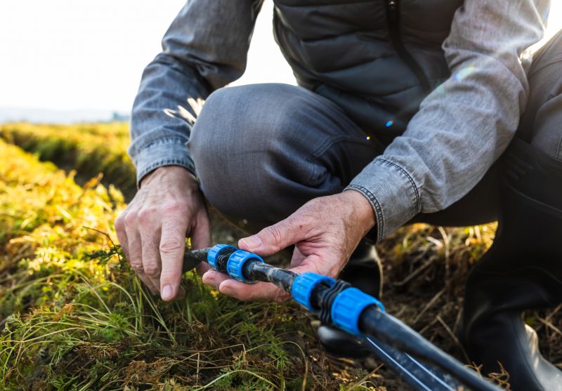 Signs A Home May Need Water Line Repair Or Replacement